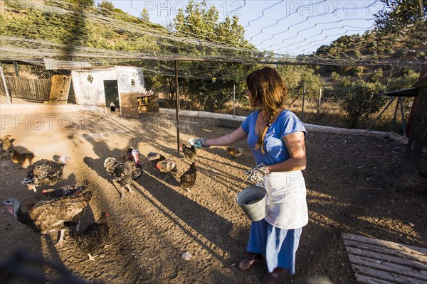 Female farmer feeding chickens farm