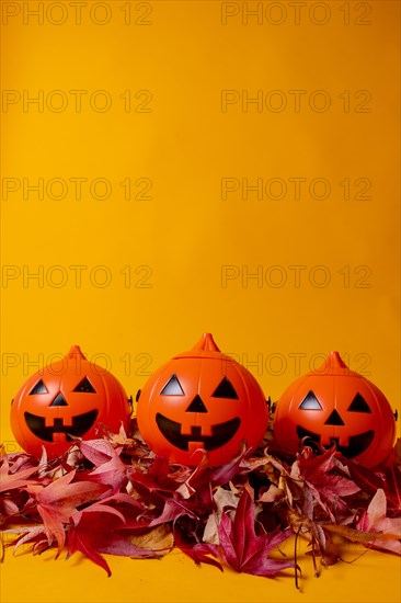 Halloween orange pumpkins on a yellow studio background