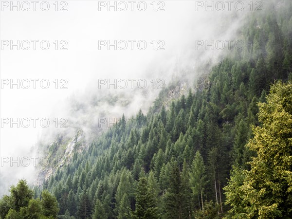 Morning fog drifts over a mountain ridge