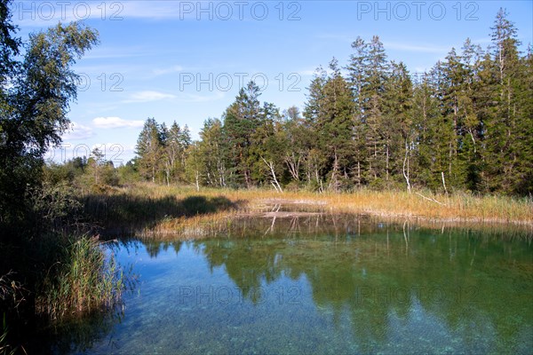 Haidgauer Quellseen im Wurzacher Ried