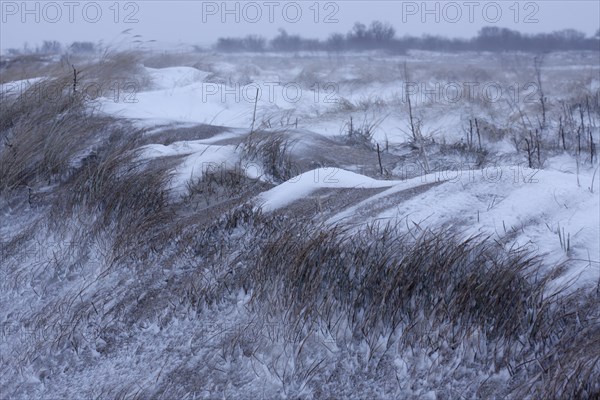 Snow-covered dunes on the island of Minsener Oog