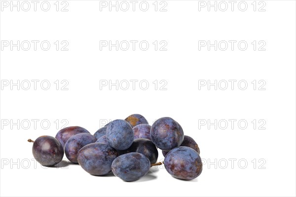 Several plums