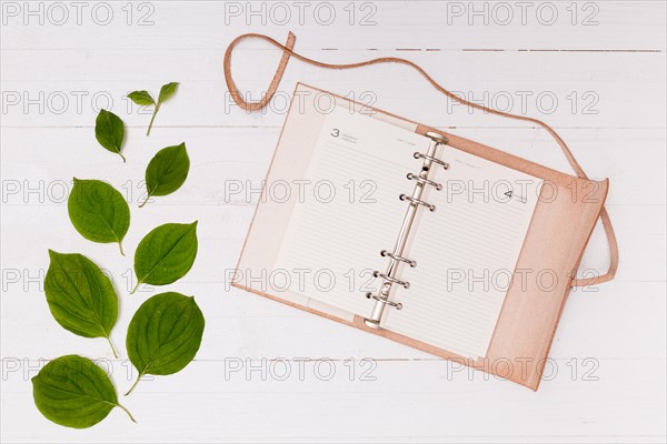 Pink notebook with beech leaves