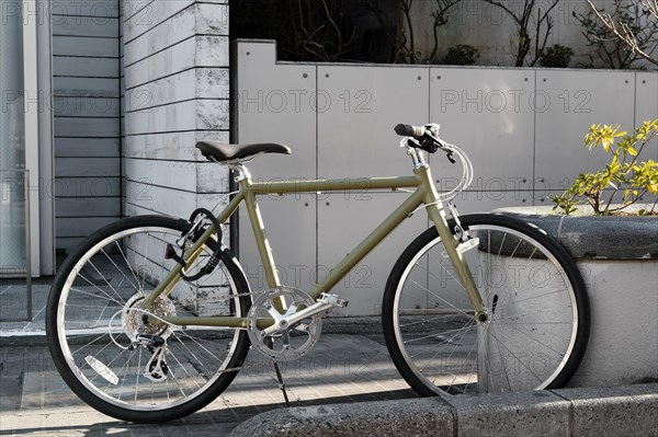 Bicycle outdoors with plant