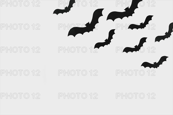 Flying bats cut out paper