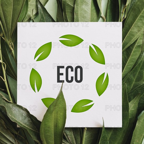 Paper with eco message