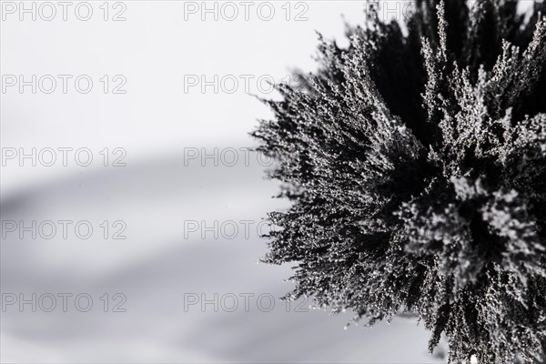 Elevated view magnetic metallic shaving grey background