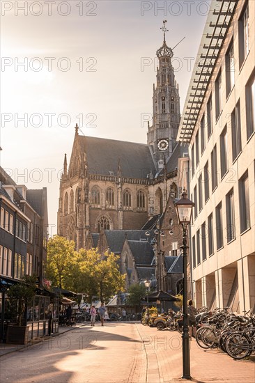 Historic St. Bavokerk Church at sunset