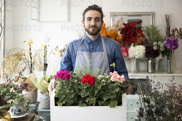 Portrait male florist holding colorful hydrangea flowers crate