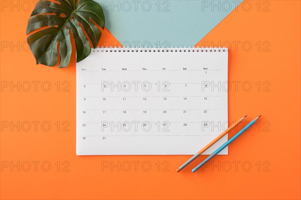 Flat lay planner calendar with monstera leaf