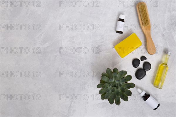 Wooden brush la stone essential oil bottles yellow soap cactus plant concrete backdrop with space writing text