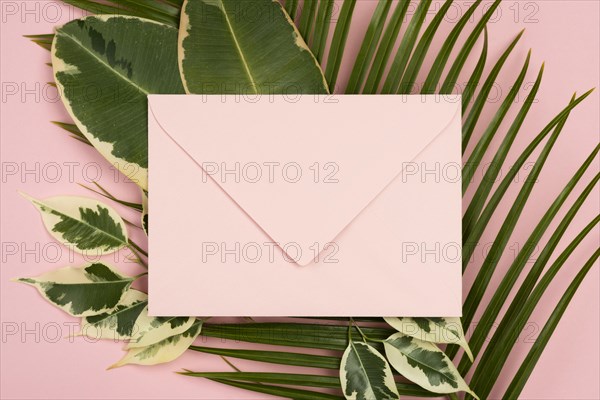 Top view envelope with plant leaves