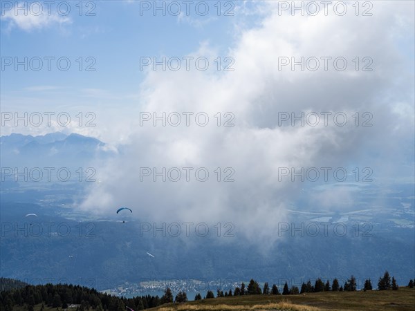 Paraglider