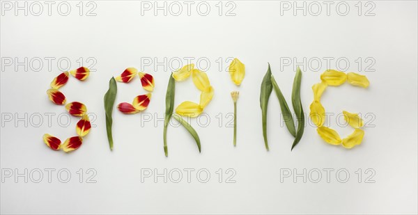 Spring word flowers petals