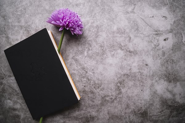 Single fake purple flower inside closed notebook stained background