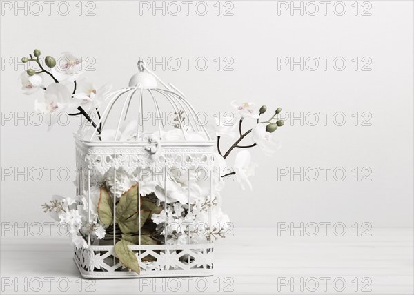 White bird cage full flowers