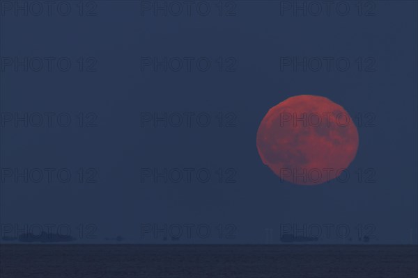 Full moon over the mudflats