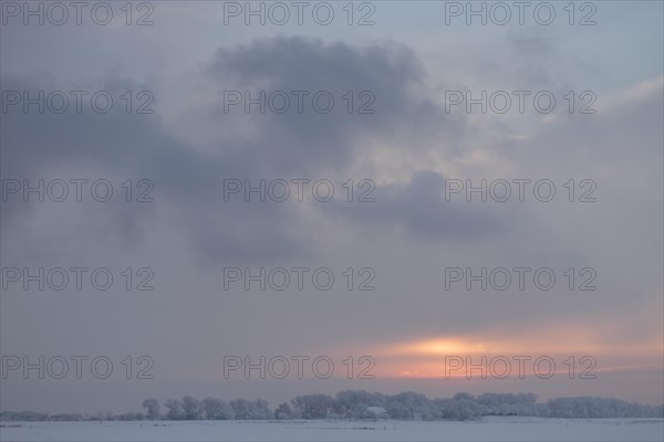 Winter in the Wesermarsch