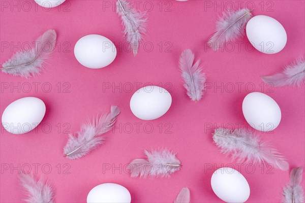 White chicken eggs with feathers table