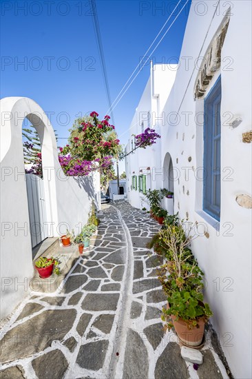 White Cycladic houses with flower pots and purple bougainvillea