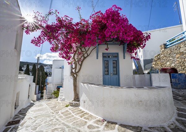 White Cycladic house with blue door and pink bougainvillea