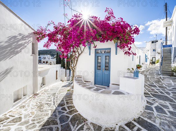 White Cycladic house with blue door and pink bougainvillea