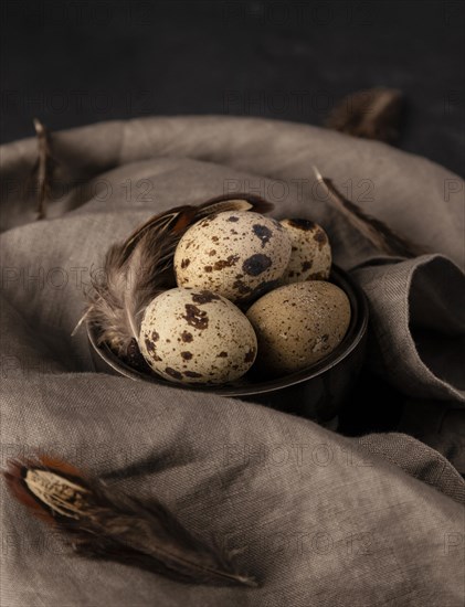High angle quail eggs bowl with feathers