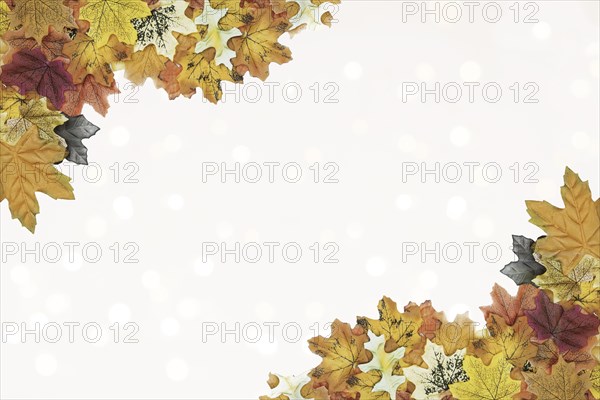 Autumn leaves corner frame pattern