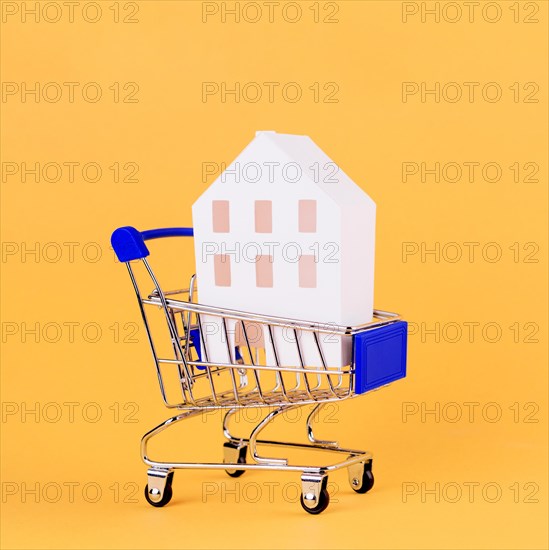 House model inside shopping cart against yellow backdrop