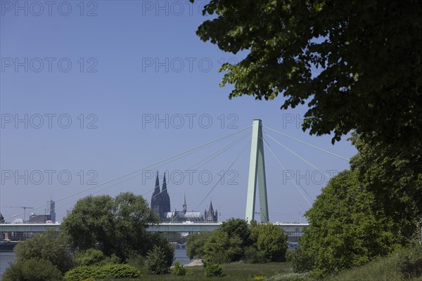 Rhine Bridge