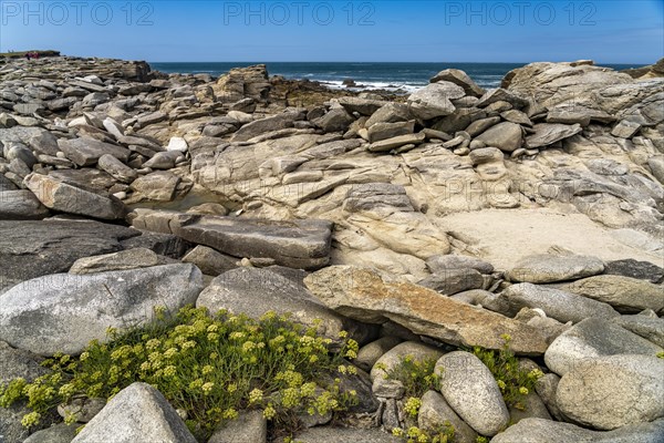 The rocks of the pink granite coast Cote de Granit Rose on the island of Ile Grande