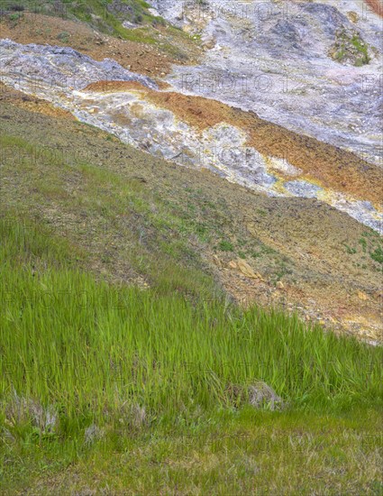 Bright green grass in contrast to the colourful rubble heaps