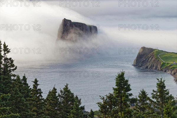 Fog at Perce Rock