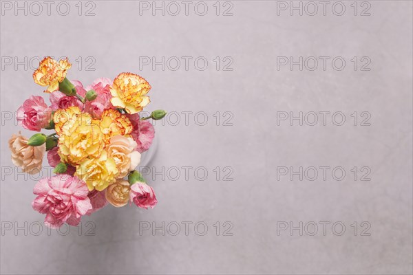 Vase with lovely carnations