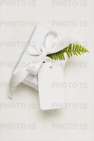 Close up present box empty tag green leaf isolated white background