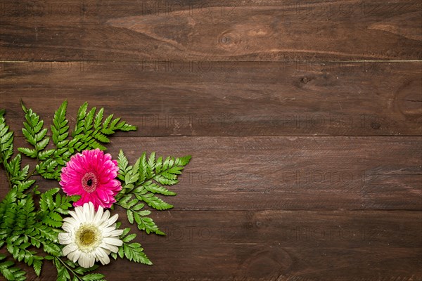 Fern leaves gerbera flowers