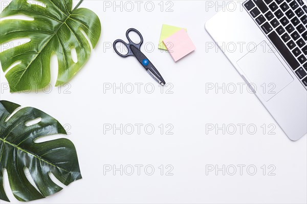 Workplace with leaves laptop