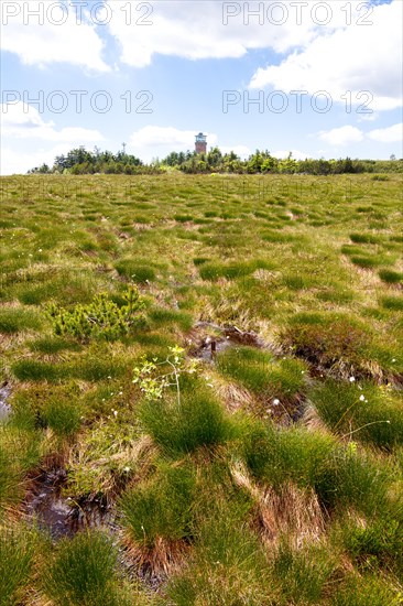 Landscape photograph Hornisgrinde