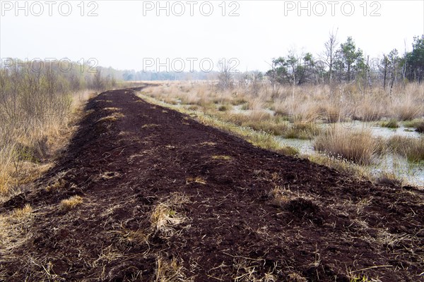 Moor protection through rewetting