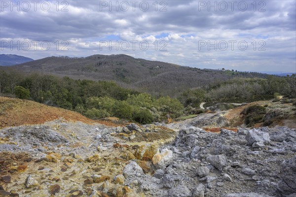 Colourful rubble deposits are surrounded by forest