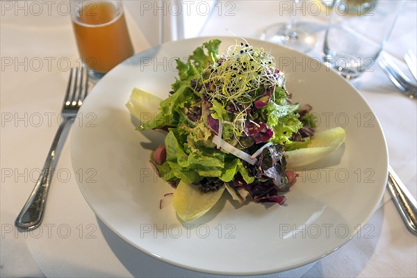 Fresh mixed salad as starter in a restaurant
