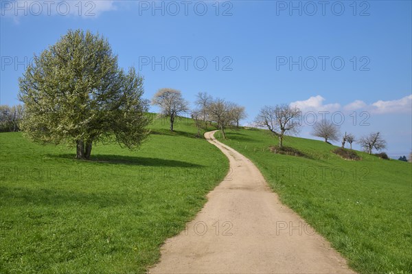 Hiking trail