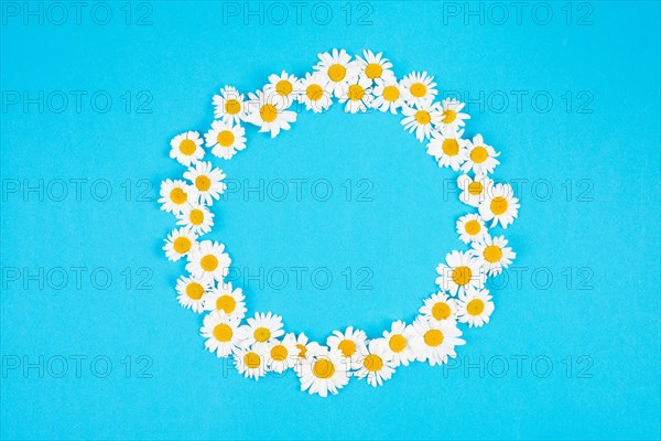 Circle cute spring flowers