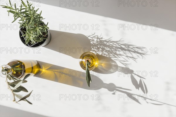 Elevated view rosemary pot with two olives bottle sunlight