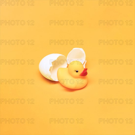 Yellow still life bath duck egg