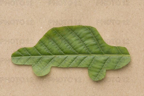 Car leaf shape