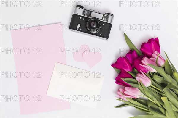 Tulip flowers retro camera heart shape blank paper against isolated white background