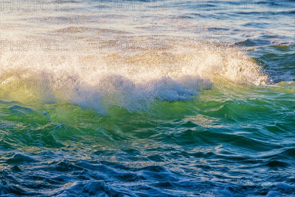 Breaking ocean wave on sunset backlit with sun. Fonte da Telha