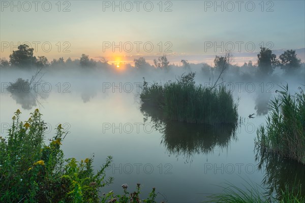 Moorland lake