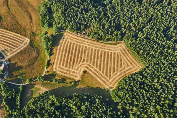 Aerial view over the fields and forests near Woerth an der Donau